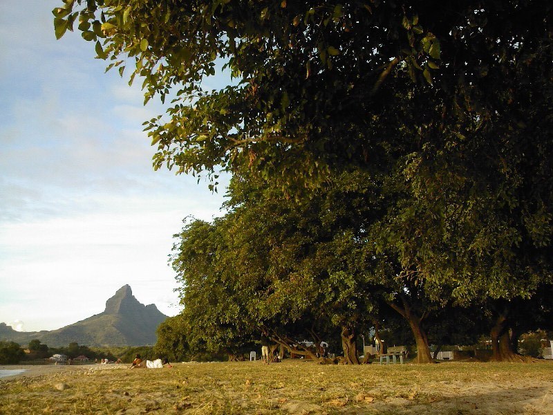gal/Ile Maurice/SP_A0315_Tamarin_Hotel.jpg